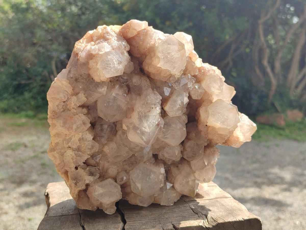 Natural Large Cascading White Phantom Smokey Quartz Cluster x 1 From Luena, Congo