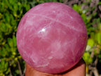 Polished Large Star Rose Quartz Sphere with Wooden Stand x 1 From Ambatondrazaka Madagascar