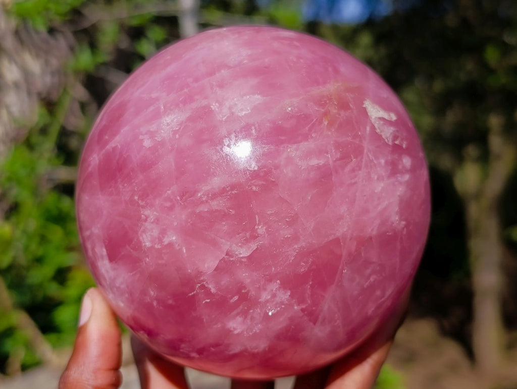 Polished Large Star Rose Quartz Sphere with Wooden Stand x 1 From Ambatondrazaka Madagascar
