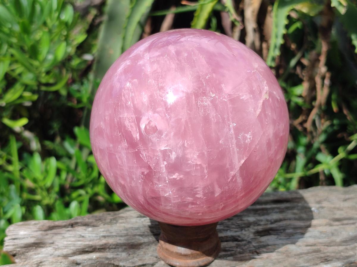 Polished Large Star Rose Quartz Sphere with Wooden Stand x 1 From Ambatondrazaka Madagascar
