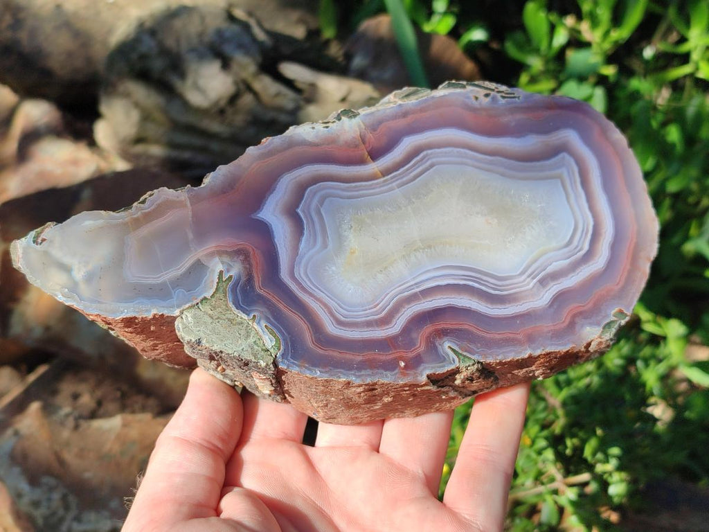 Polished One Side XL Red Shashe River Agate Pair x 1 From Shashe River, Zimbabwe
