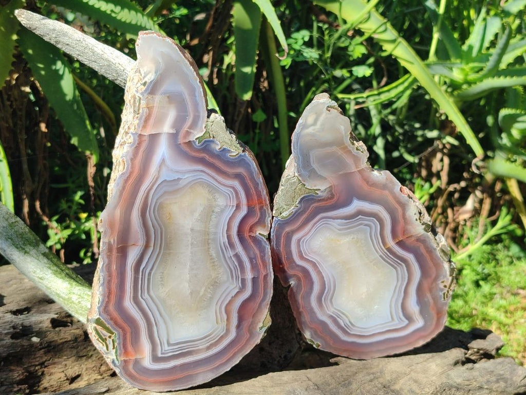 Polished One Side XL Red Shashe River Agate Pair x 1 From Shashe River, Zimbabwe