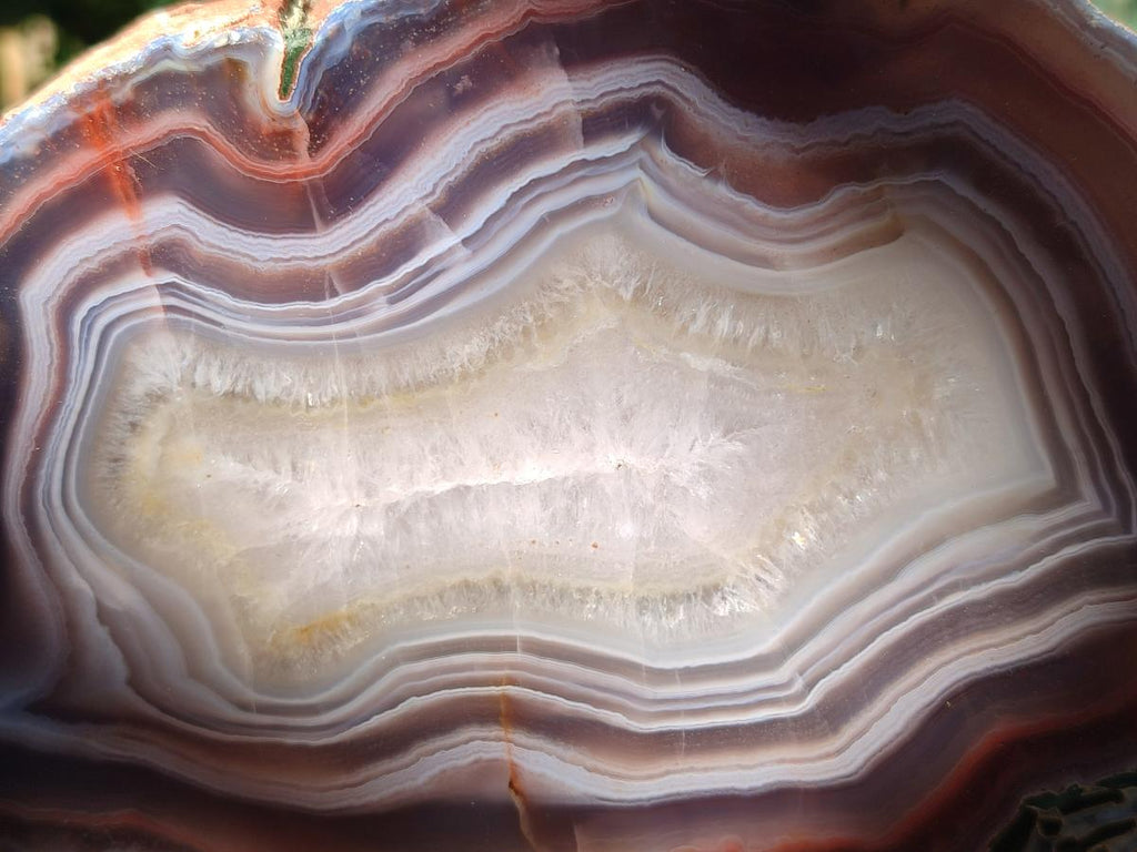 Polished One Side XL Red Shashe River Agate Pair x 1 From Shashe River, Zimbabwe
