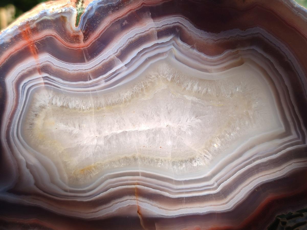 Polished One Side XL Red Shashe River Agate Pair x 1 From Shashe River, Zimbabwe