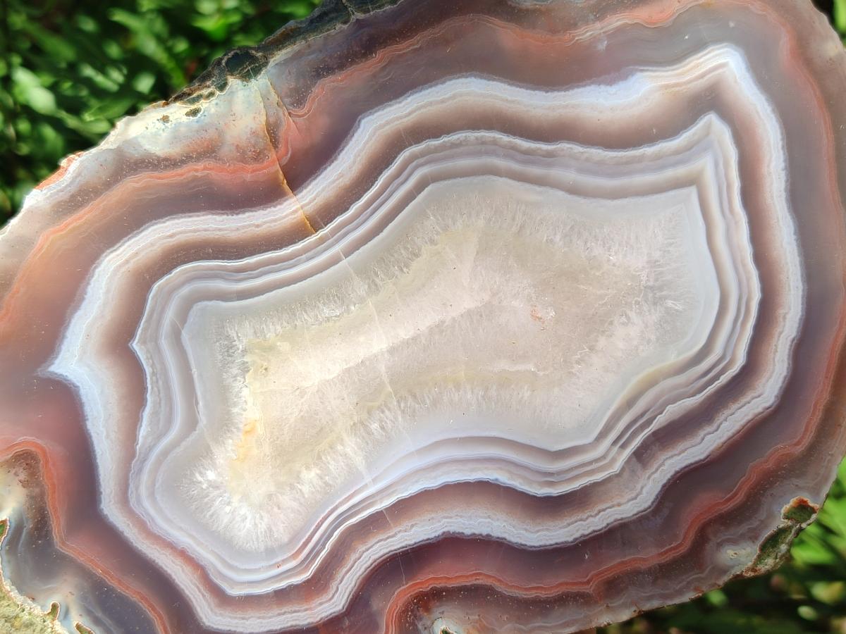 Polished One Side XL Red Shashe River Agate Pair x 1 From Shashe River, Zimbabwe