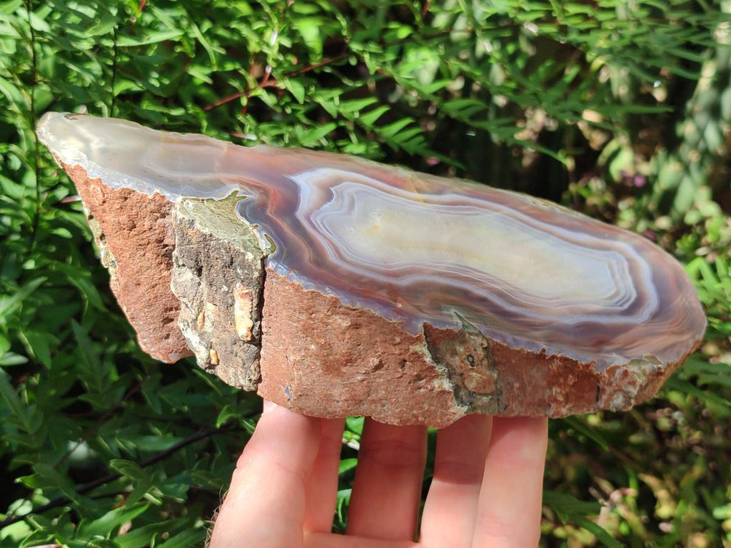 Polished One Side XL Red Shashe River Agate Pair x 1 From Shashe River, Zimbabwe