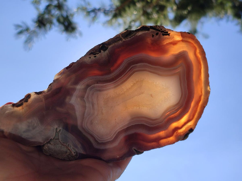 Polished One Side XL Red Shashe River Agate Pair x 1 From Shashe River, Zimbabwe