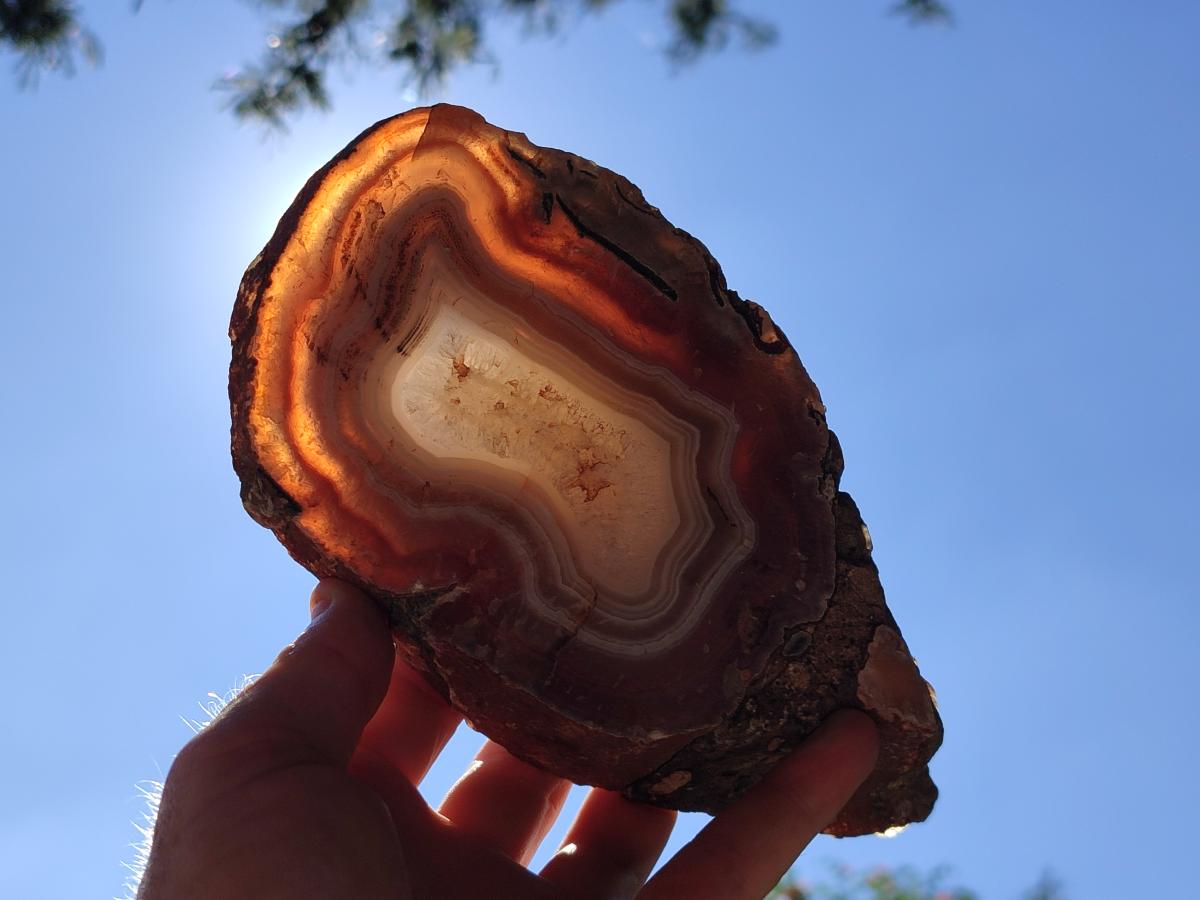 Polished One Side XL Red Shashe River Agate Pair x 1 From Shashe River, Zimbabwe