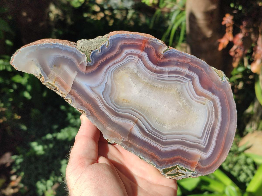Polished One Side XL Red Shashe River Agate Pair x 1 From Shashe River, Zimbabwe