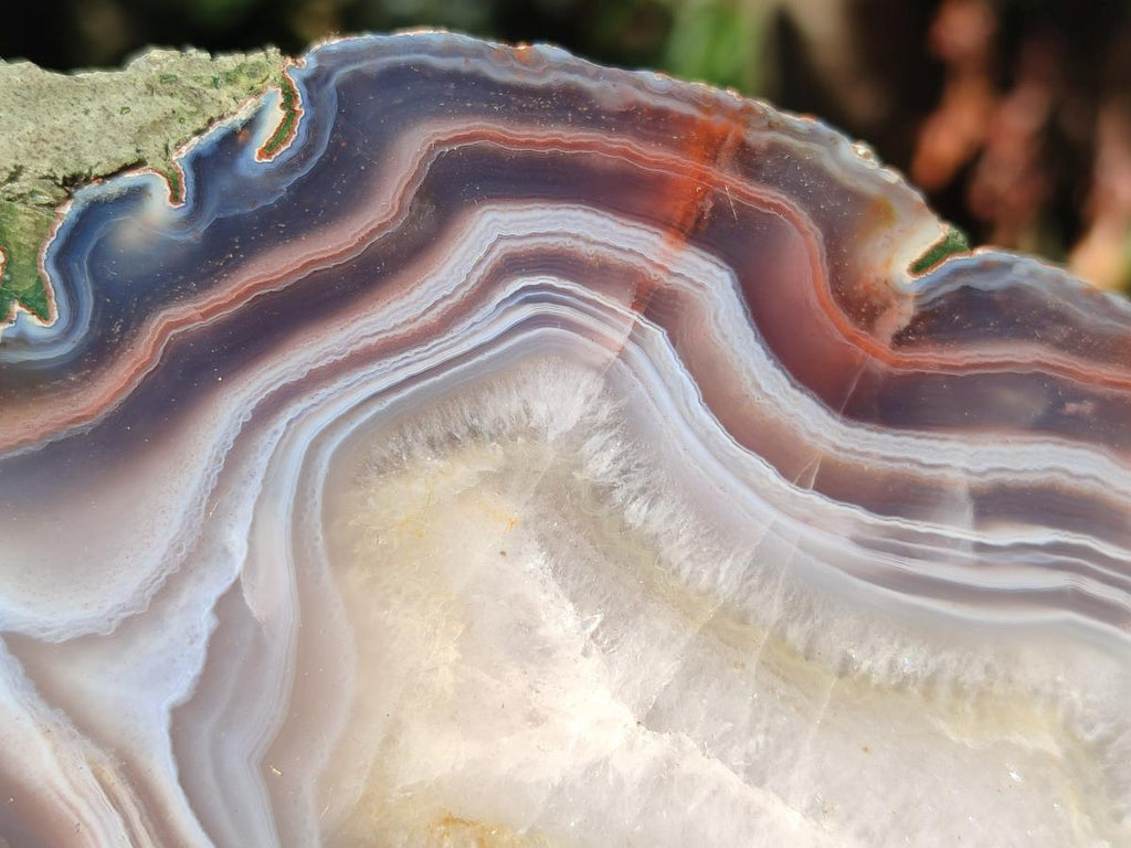 Polished One Side XL Red Shashe River Agate Pair x 1 From Shashe River, Zimbabwe