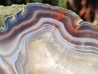 Polished One Side XL Red Shashe River Agate Pair x 1 From Shashe River, Zimbabwe