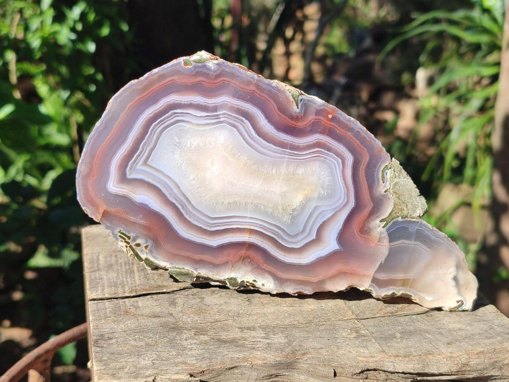 Polished One Side XL Red Shashe River Agate Pair x 1 From Shashe River, Zimbabwe