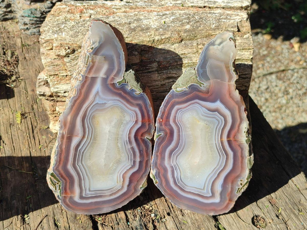 Polished One Side XL Red Shashe River Agate Pair x 1 From Shashe River, Zimbabwe