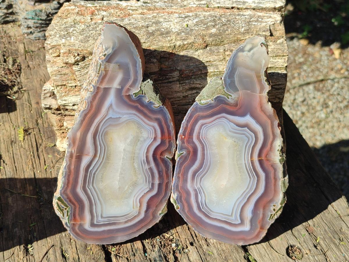 Polished One Side XL Red Shashe River Agate Pair x 1 From Shashe River, Zimbabwe