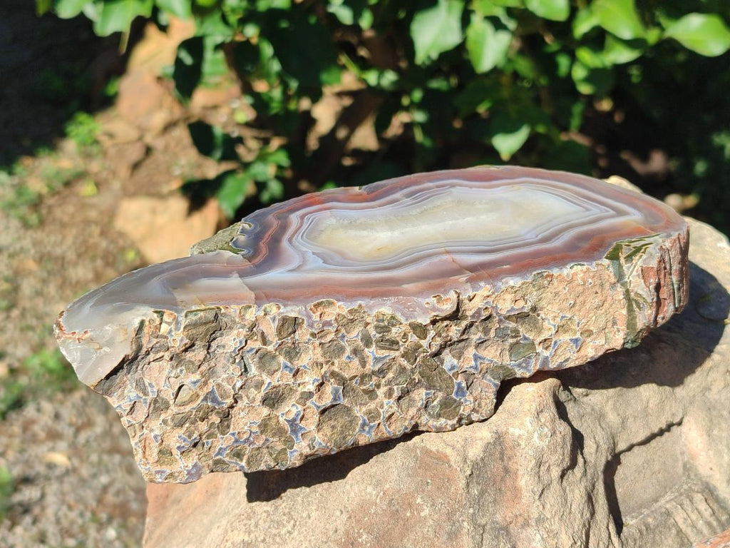 Polished One Side XL Red Shashe River Agate Pair x 1 From Shashe River, Zimbabwe
