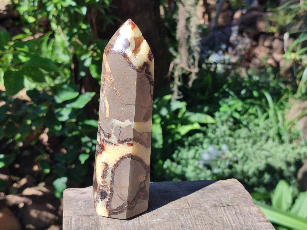 Polished Septerye Fossil Display Crystal x 1 From Mahajanga, Madagascar