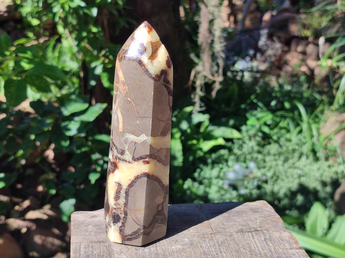 Polished Septerye Fossil Display Crystal x 1 From Mahajanga, Madagascar
