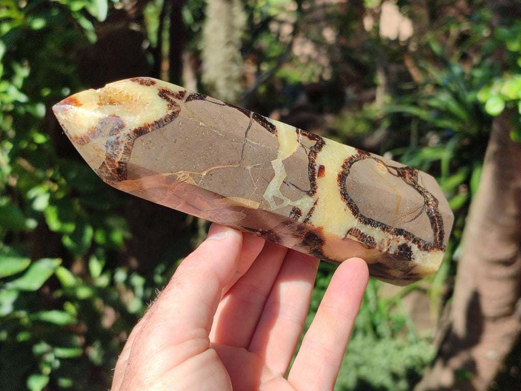 Polished Septerye Fossil Display Crystal x 1 From Mahajanga, Madagascar