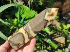 Polished Septerye Fossil Display Crystal x 1 From Mahajanga, Madagascar