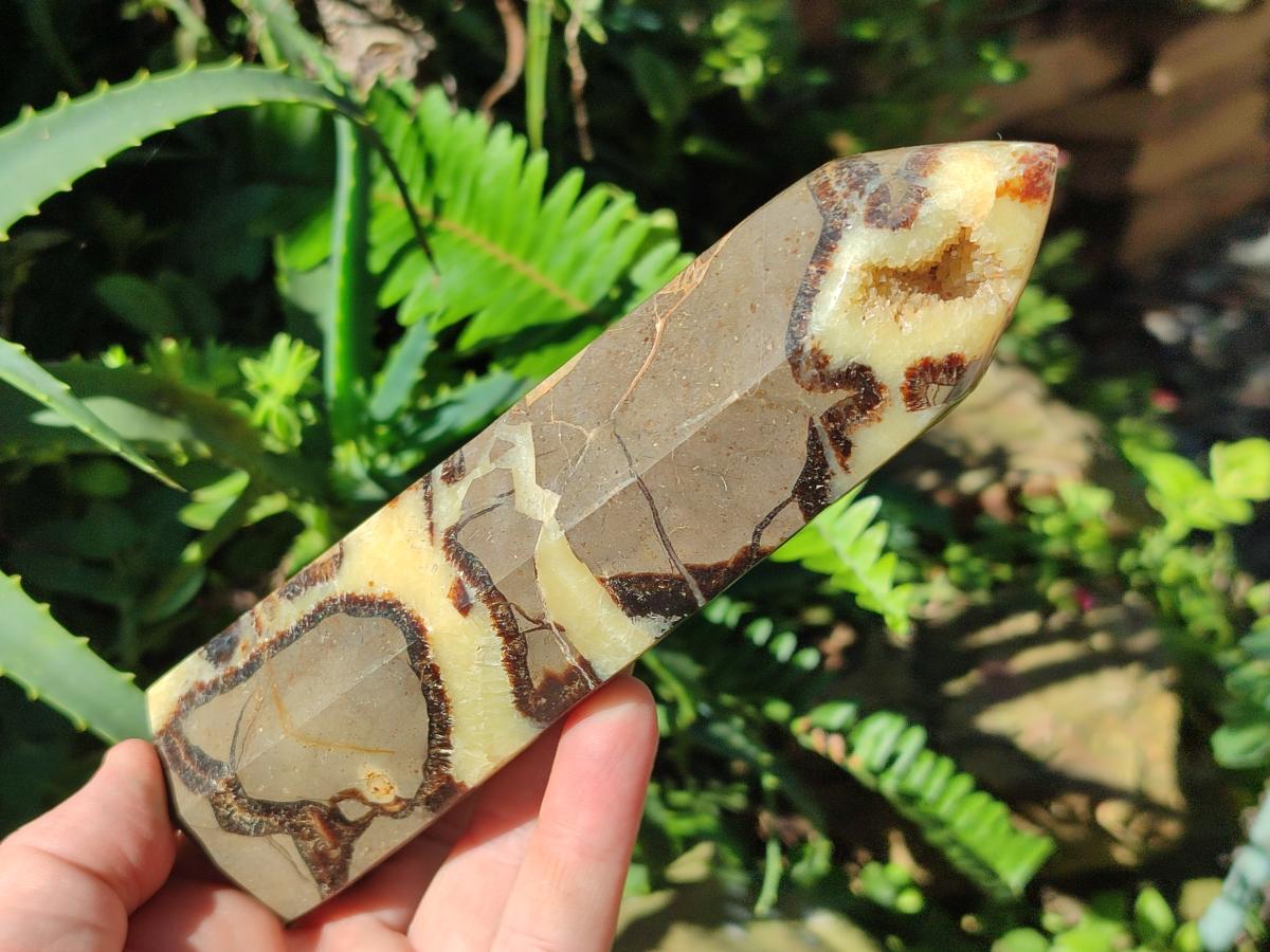 Polished Septerye Fossil Display Crystal x 1 From Mahajanga, Madagascar