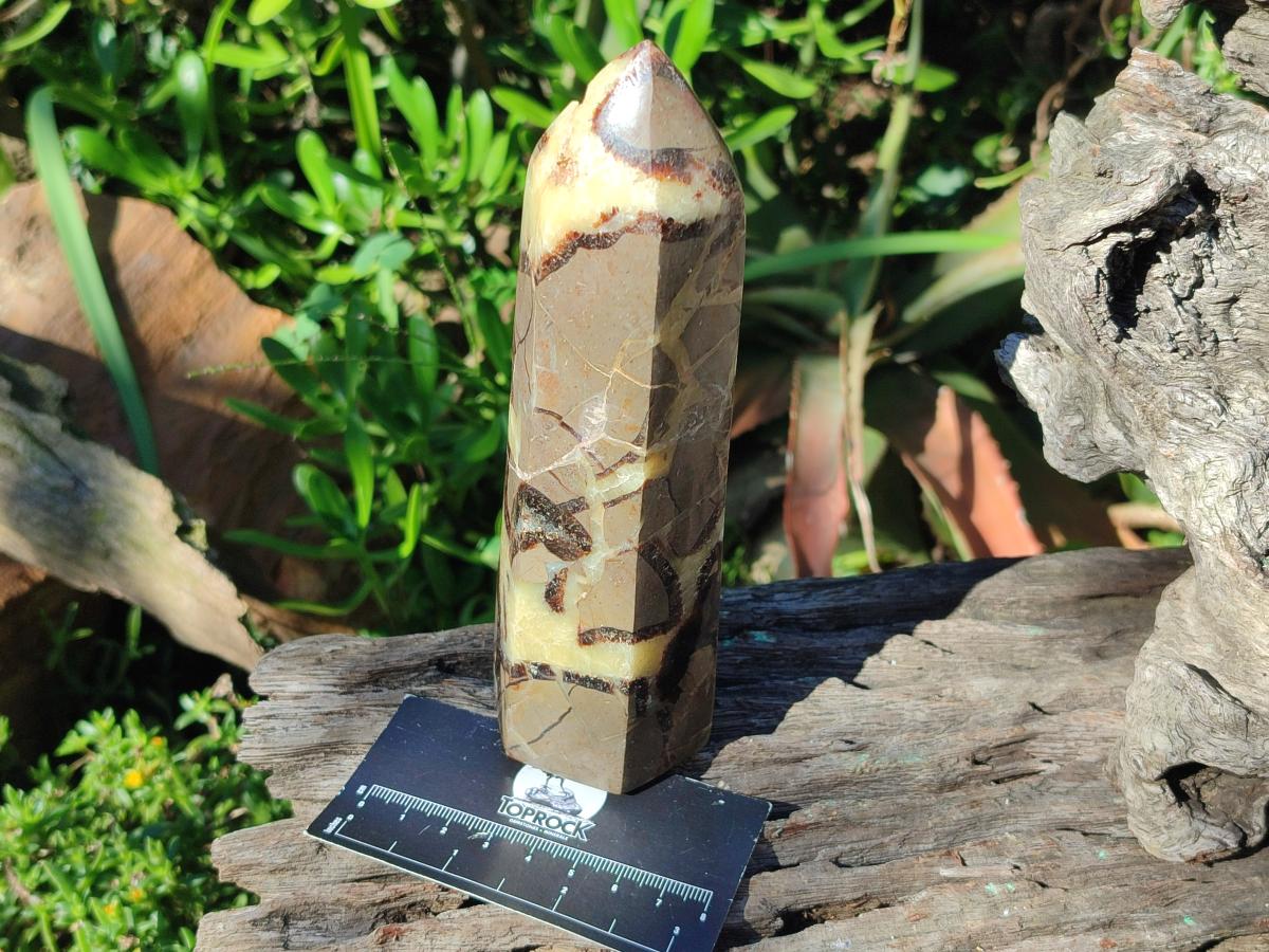 Polished Septerye Fossil Display Crystal x 1 From Mahajanga, Madagascar