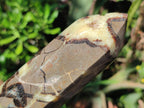 Polished Septerye Fossil Display Crystal x 1 From Mahajanga, Madagascar