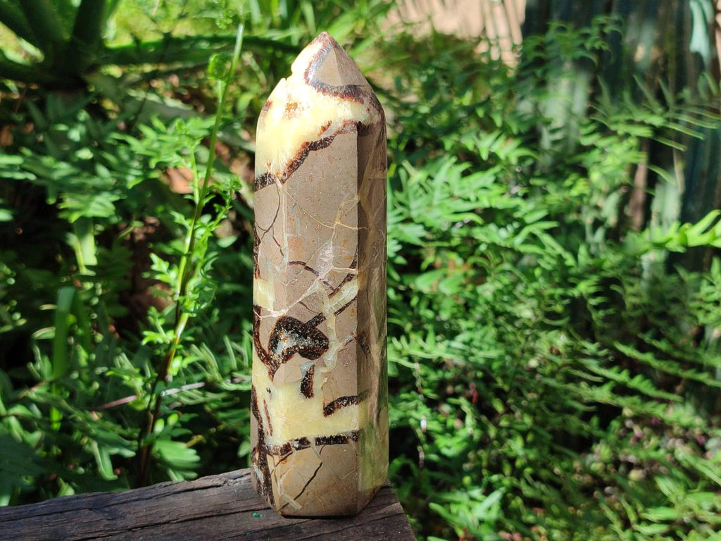 Polished Septerye Fossil Display Crystal x 1 From Mahajanga, Madagascar