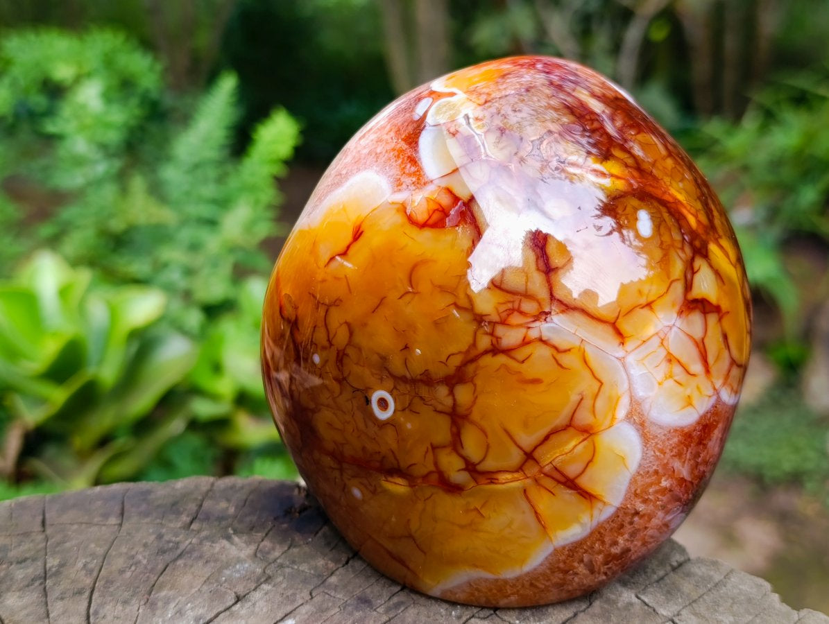 Polished Large Carnelian Standing Display Piece "The Red Eye" x 1 From Madagascar