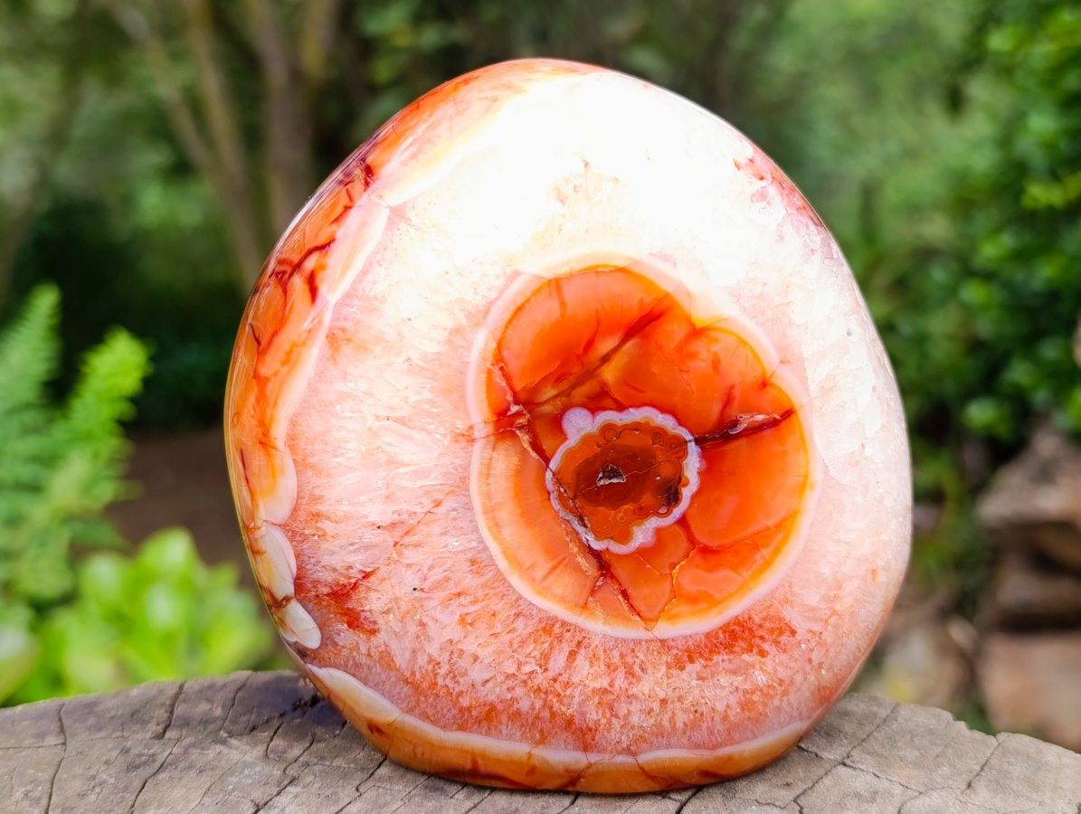 Polished Large Carnelian Standing Display Piece "The Red Eye" x 1 From Madagascar