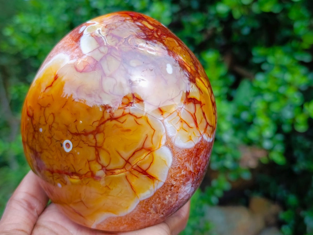 Polished Large Carnelian Standing Display Piece "The Red Eye" x 1 From Madagascar