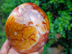 Polished Large Carnelian Standing Display Piece "The Red Eye" x 1 From Madagascar