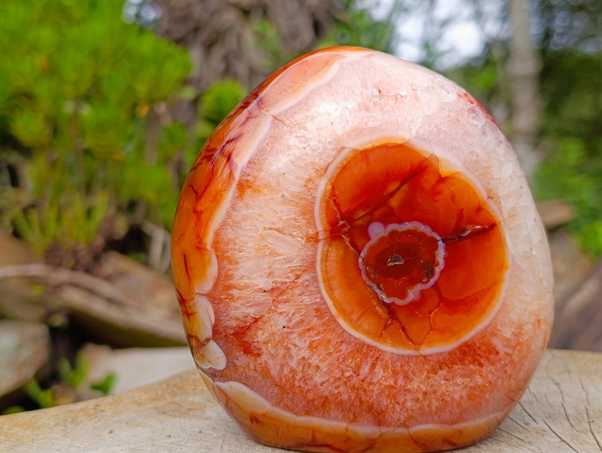 Polished Large Carnelian Standing Display Piece "The Red Eye" x 1 From Madagascar