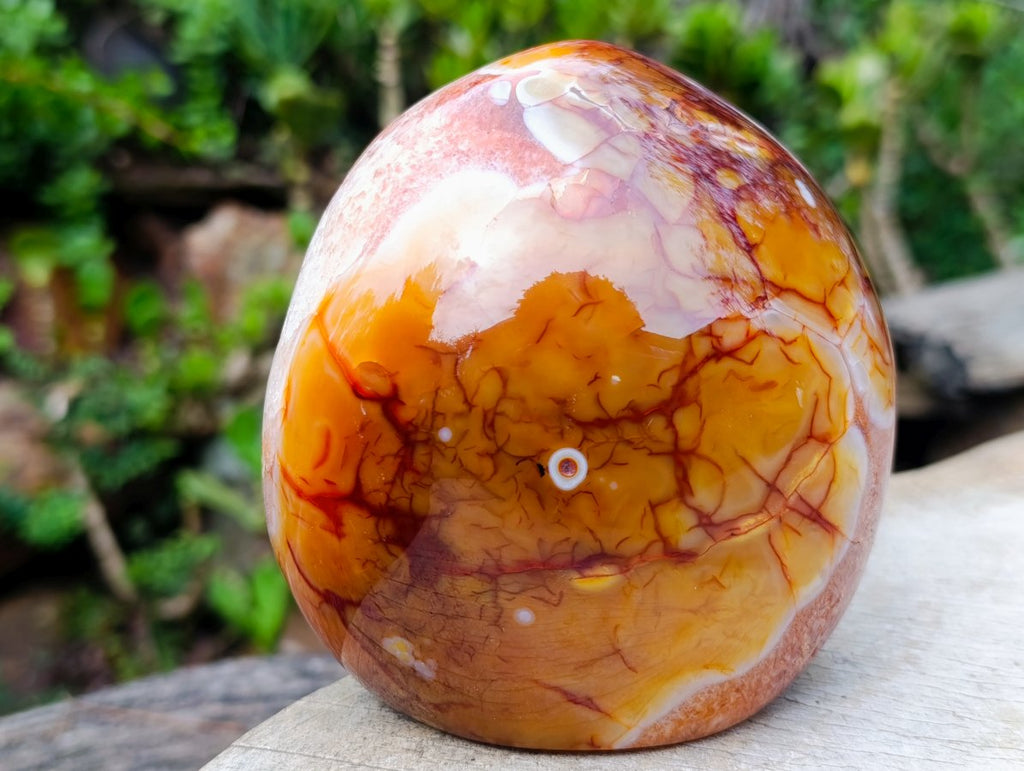 Polished Large Carnelian Standing Display Piece "The Red Eye" x 1 From Madagascar