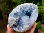 Polished Blue Celestite Geode Gemstone Egg x 1 From Sakoany Madagascar