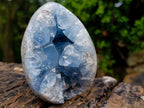 Polished Blue Celestite Geode Gemstone Egg x 1 From Sakoany Madagascar
