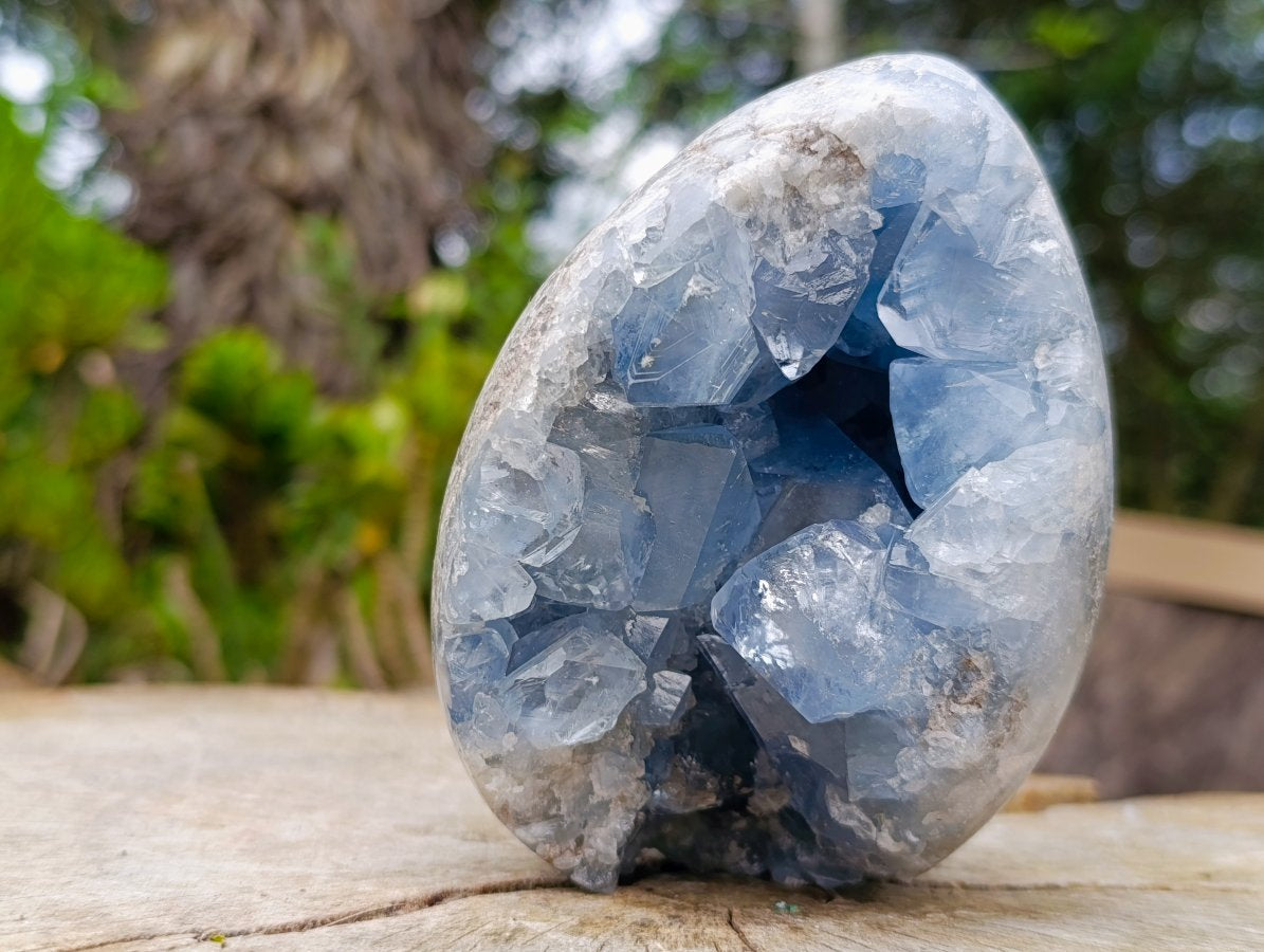Polished Blue Celestite Geode Gemstone Egg x 1 From Sakoany Madagascar