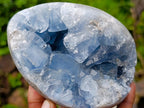 Polished Blue Celestite Geode Gemstone Egg x 1 From Sakoany Madagascar