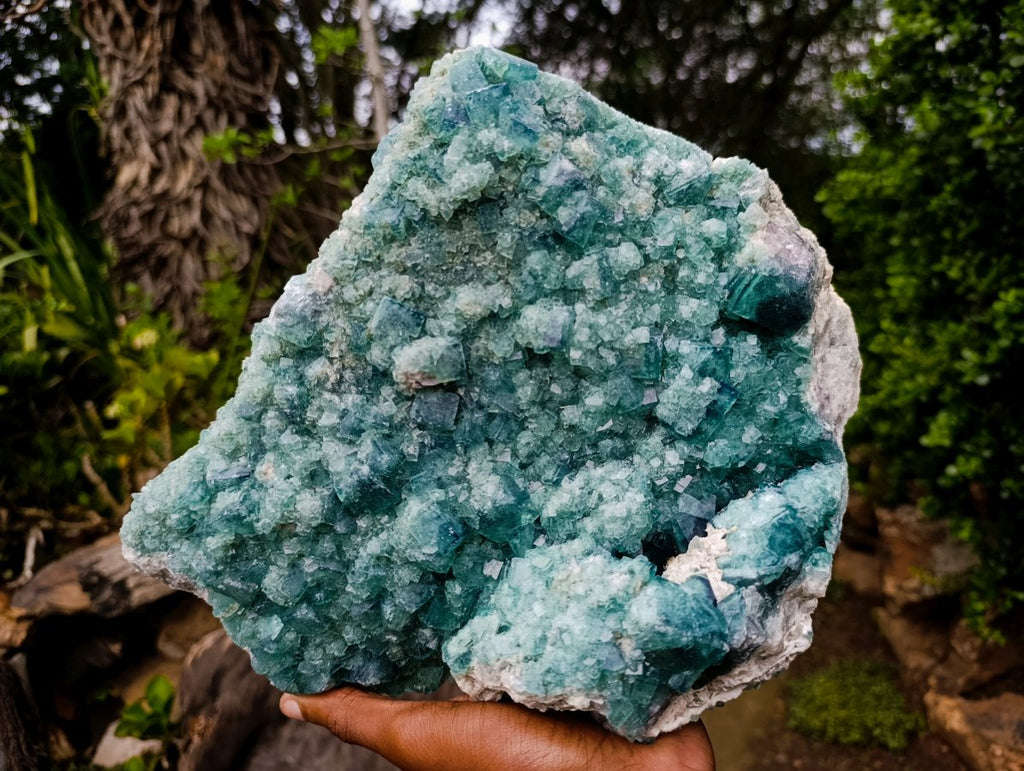 Natural XL Cubic Green Fluorite Specimen x 1 From Mandrosonoro Madagascar