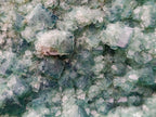 Natural XL Cubic Green Fluorite Specimen x 1 From Mandrosonoro Madagascar
