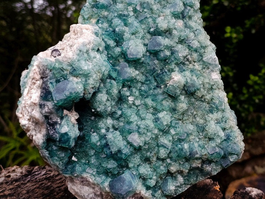 Natural XL Cubic Green Fluorite Specimen x 1 From Mandrosonoro Madagascar