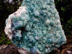Natural XL Cubic Green Fluorite Specimen x 1 From Mandrosonoro Madagascar