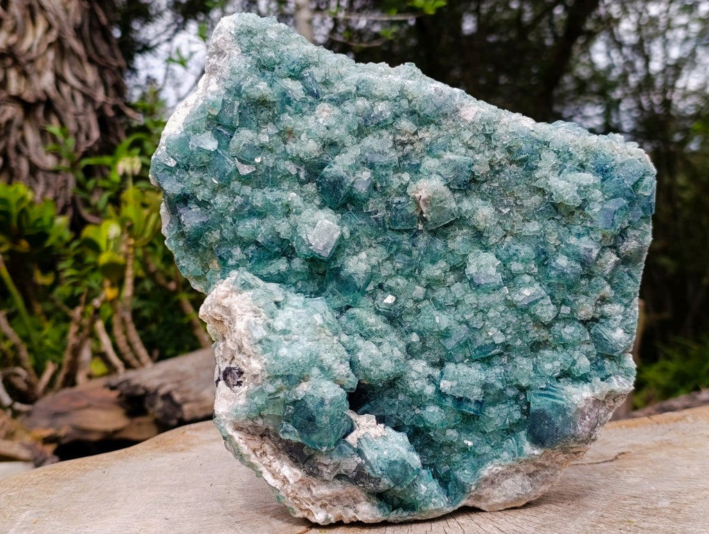 Natural XL Cubic Green Fluorite Specimen x 1 From Mandrosonoro Madagascar