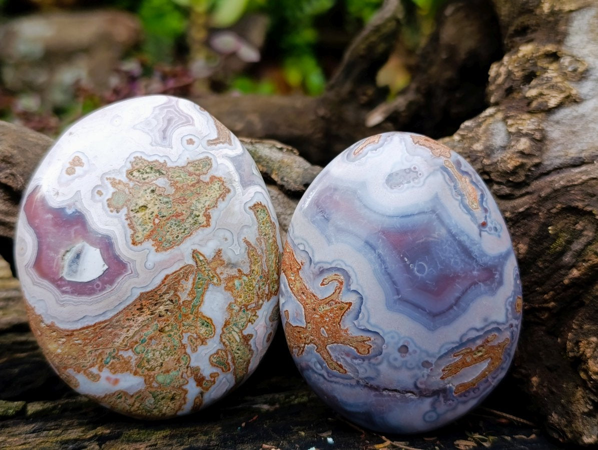 Polished XL Pair of Shashe River Agate Palm Stones x 1 From Shashe River, Zimbabwe