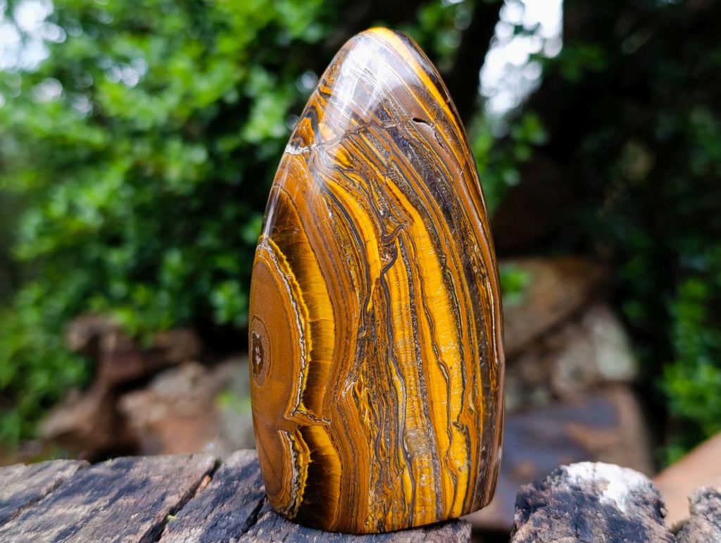 Polished Golden River Tigers Eye Standing Display Piece x 1 From South Africa