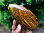 Polished Golden River Tigers Eye Standing Display Piece x 1 From South Africa