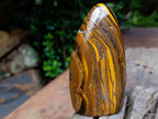Polished Golden River Tigers Eye Standing Display Piece x 1 From South Africa