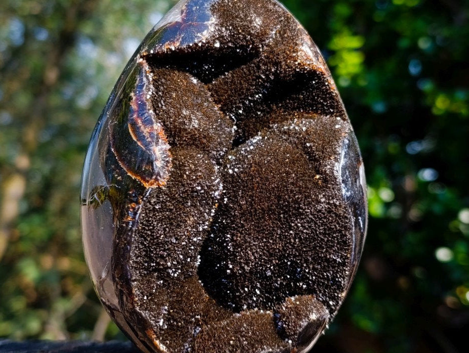 Polished Septerye Sauvage Dragons Egg x 1 From Mahajanga, Madagascar