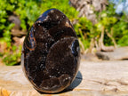 Polished Septerye Sauvage Dragons Egg x 1 From Mahajanga, Madagascar