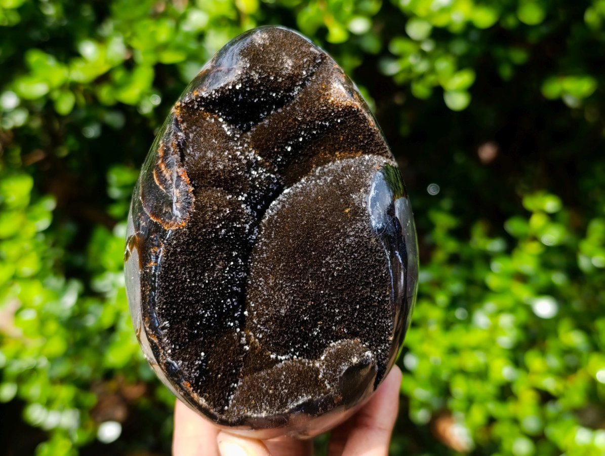 Polished Septerye Sauvage Dragons Egg x 1 From Mahajanga, Madagascar
