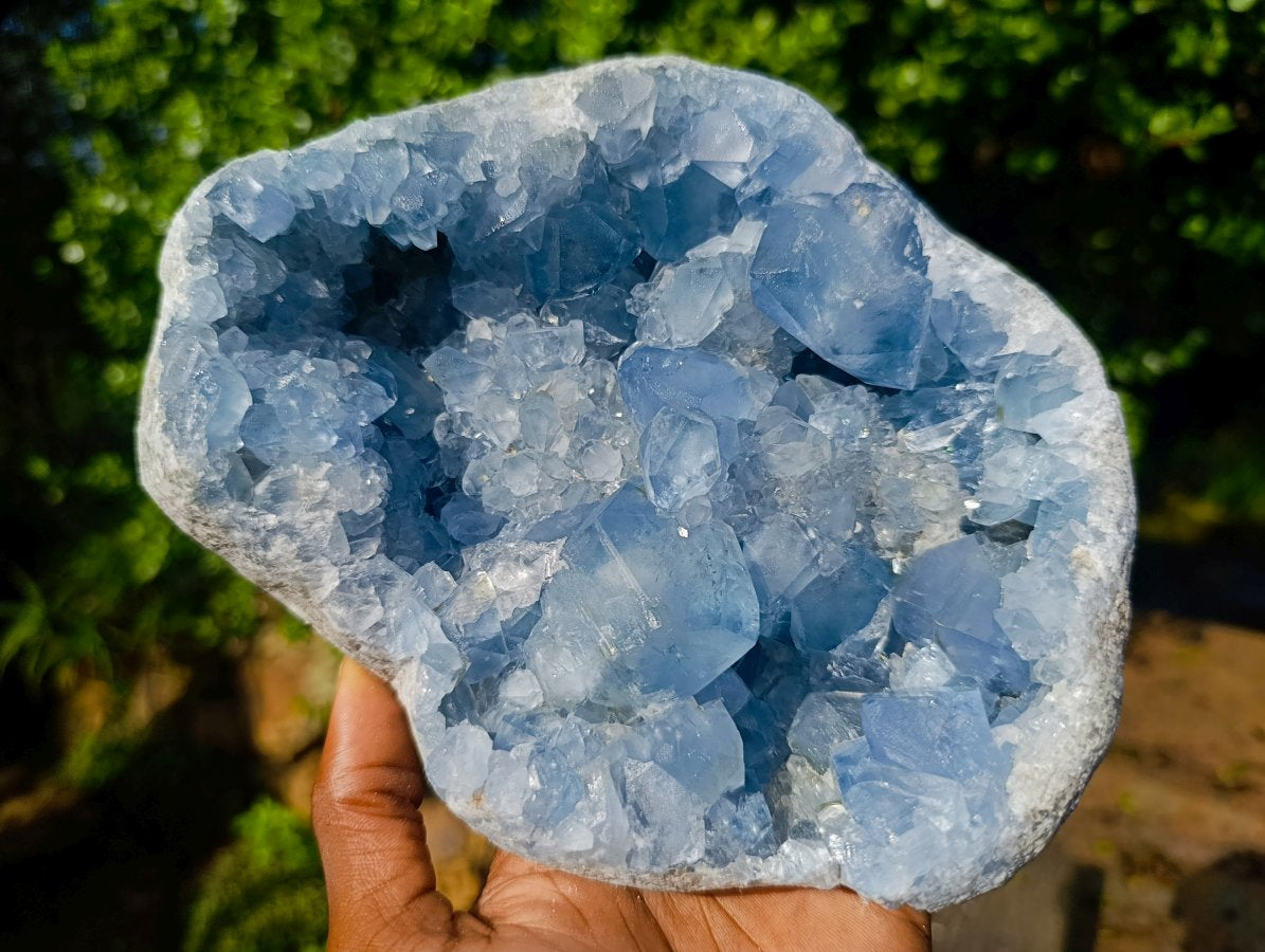 Natural Cabinet Size Blue Celestite Geode Specimen x 1 From Sakoany Madagascar